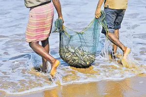 Bheemadevarapally, Mulkanoor: ముల్కనూర్ మత్స్య పారిశ్రామిక సంఘ కార్యవర్గంపై కేసు నమోదు